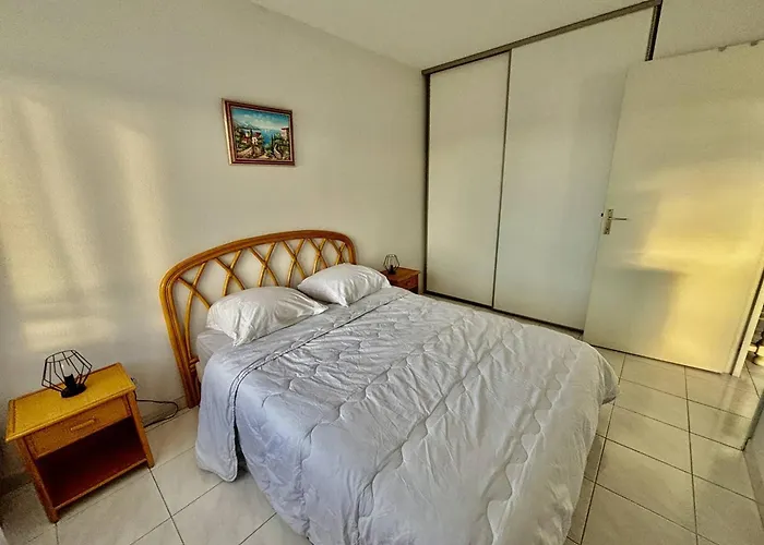 Apartment T2 Climatise Proche Avec Terrasse Et Garage - Fr-1-816-14 *